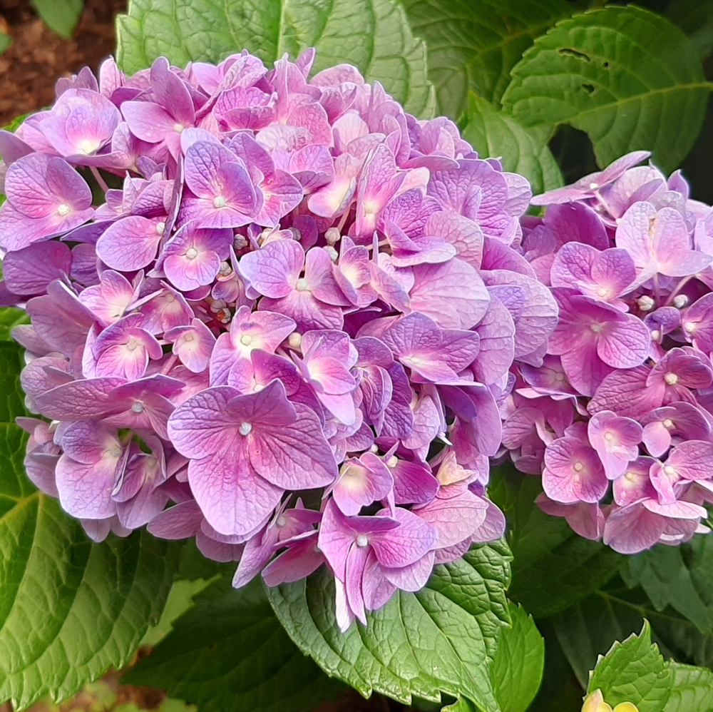 🤗Sharing is Caring🤗